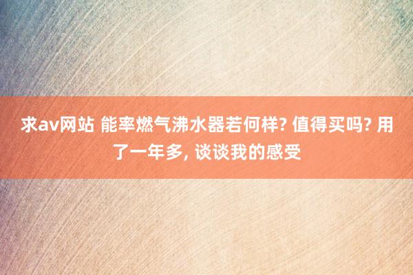 求av网站 能率燃气沸水器若何样? 值得买吗? 用了一年多， 谈谈我的感受