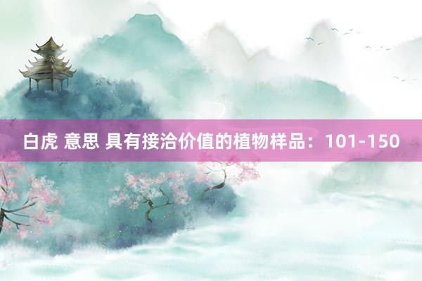 白虎 意思 具有接洽价值的植物样品：101-150