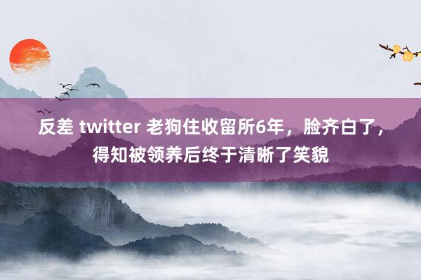 反差 twitter 老狗住收留所6年，脸齐白了，得知被领养后终于清晰了笑貌