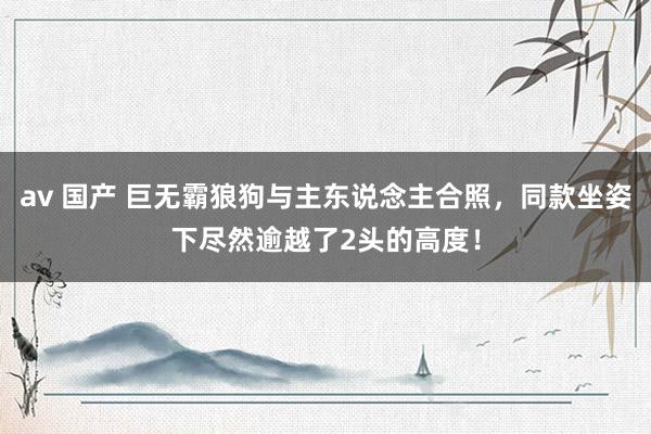 av 国产 巨无霸狼狗与主东说念主合照，同款坐姿下尽然逾越了2头的高度！