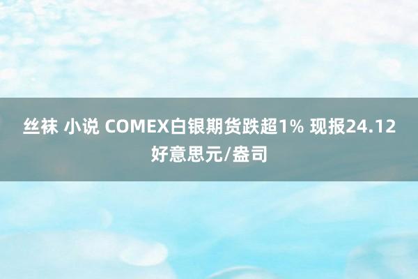 丝袜 小说 COMEX白银期货跌超1% 现报24.12好意思元/盎司