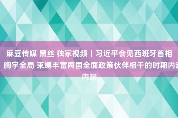 麻豆传媒 黑丝 独家视频丨习近平会见西班牙首相：胸宇全局 束缚丰富两国全面政策伙伴相干的时期内涵