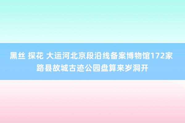 黑丝 探花 大运河北京段沿线备案博物馆172家 路县故城古迹公园盘算来岁洞开