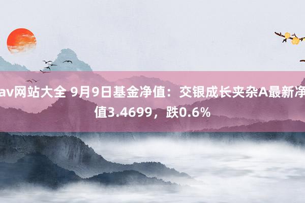 av网站大全 9月9日基金净值：交银成长夹杂A最新净值3.4699，跌0.6%