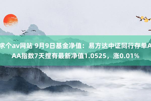 求个av网站 9月9日基金净值：易方达中证同行存单AAA指数7天捏有最新净值1.0525，涨0.01%