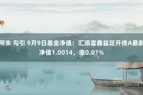 阿朱 勾引 9月9日基金净值：汇添富鑫益定开债A最新净值1.0014，涨0.01%