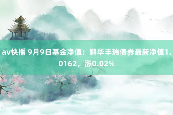 av快播 9月9日基金净值：鹏华丰瑞债券最新净值1.0162，涨0.02%