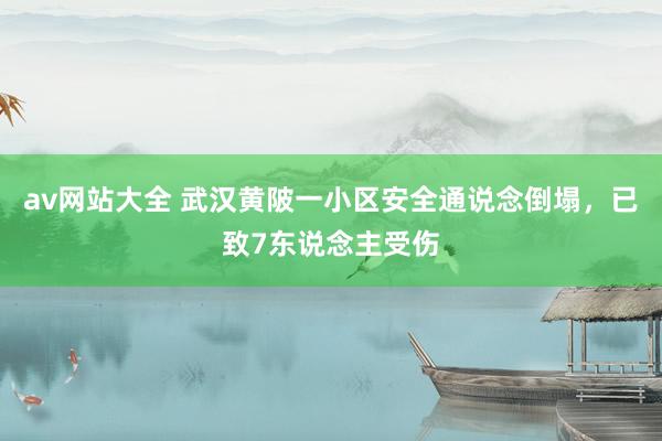 av网站大全 武汉黄陂一小区安全通说念倒塌，已致7东说念主受伤