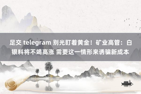 足交 telegram 别光盯着黄金！矿业高管：白银料将不竭高涨 需要这一情形来诱骗新成本