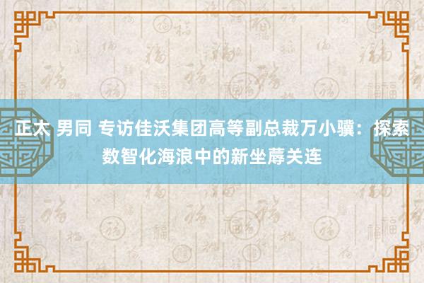 正太 男同 专访佳沃集团高等副总裁万小骥：探索数智化海浪中的新坐蓐关连