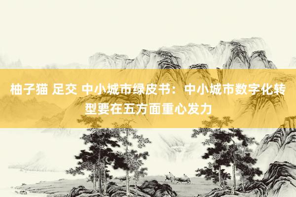 柚子猫 足交 中小城市绿皮书：中小城市数字化转型要在五方面重心发力