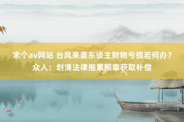 求个av网站 台风来袭东谈主财物亏损若何办？众人：划清法律拖累照章获取补偿