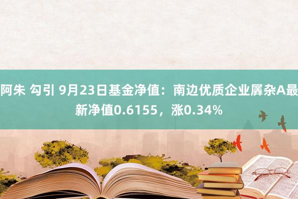 阿朱 勾引 9月23日基金净值：南边优质企业羼杂A最新净值0.6155，涨0.34%