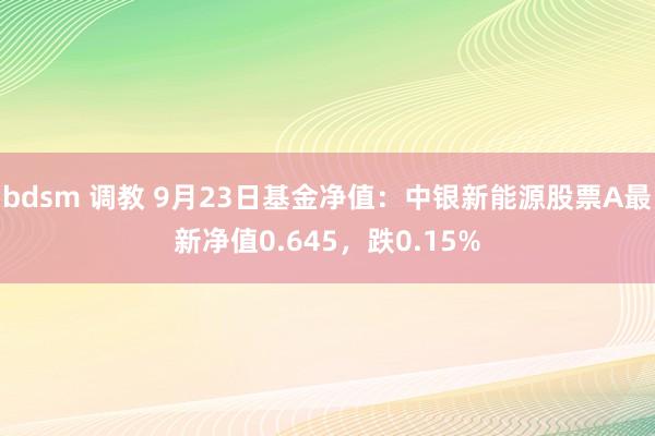 bdsm 调教 9月23日基金净值：中银新能源股票A最新净值0.645，跌0.15%