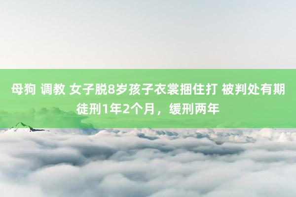 母狗 调教 女子脱8岁孩子衣裳捆住打 被判处有期徒刑1年2个月，缓刑两年