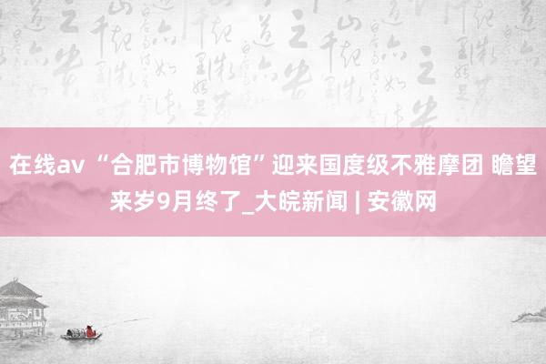 在线av “合肥市博物馆”迎来国度级不雅摩团 瞻望来岁9月终了_大皖新闻 | 安徽网