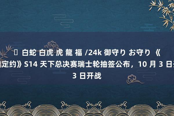 ✨白蛇 白虎 虎 龍 福 /24k 御守り お守り 《骁雄定约》S14 天下总决赛瑞士轮抽签公布，10 月 3 日开战