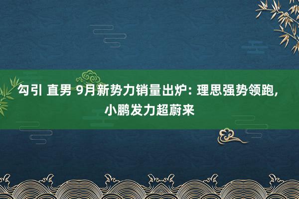 勾引 直男 9月新势力销量出炉: 理思强势领跑， 小鹏发力超蔚来