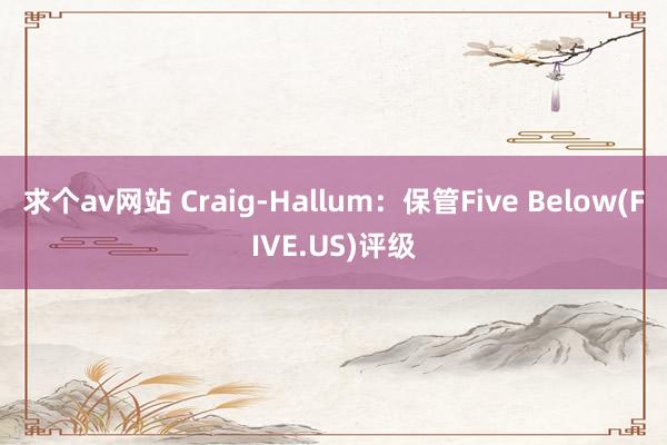 求个av网站 Craig-Hallum：保管Five Below(FIVE.US)评级