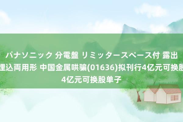 パナソニック 分電盤 リミッタースペース付 露出・半埋込両用形 中国金属哄骗(01636)拟刊行4亿元可换股单子