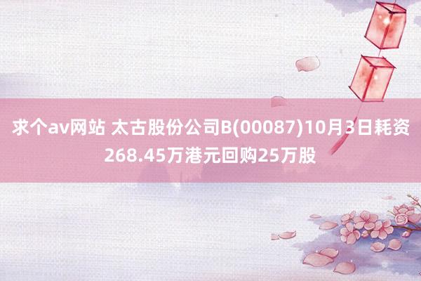 求个av网站 太古股份公司B(00087)10月3日耗资268.45万港元回购25万股