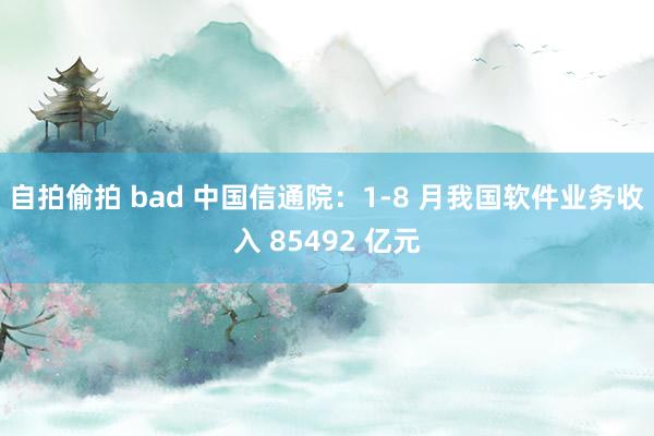 自拍偷拍 bad 中国信通院：1-8 月我国软件业务收入 85492 亿元