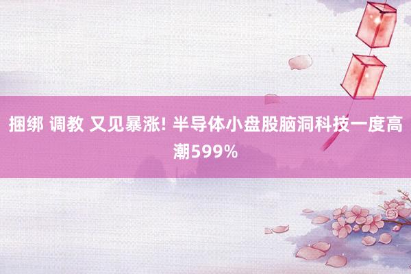 捆绑 调教 又见暴涨! 半导体小盘股脑洞科技一度高潮599%