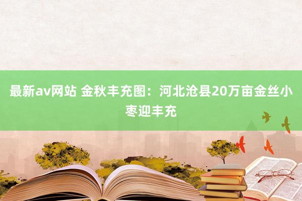 最新av网站 金秋丰充图：河北沧县20万亩金丝小枣迎丰充