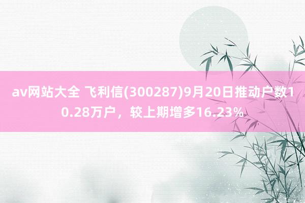 av网站大全 飞利信(300287)9月20日推动户数10.28万户，较上期增多16.23%