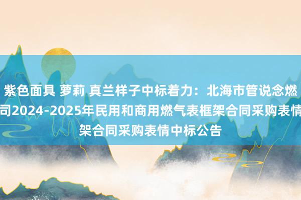 紫色面具 萝莉 真兰样子中标着力：北海市管说念燃气有限公司2024-2025年民用和商用燃气表框架合同采购表情中标公告