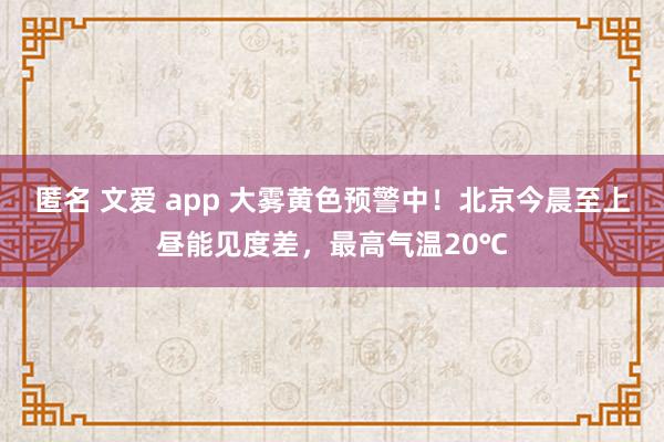 匿名 文爱 app 大雾黄色预警中！北京今晨至上昼能见度差，最高气温20℃