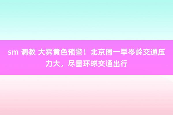 sm 调教 大雾黄色预警！北京周一早岑岭交通压力大，尽量环球交通出行