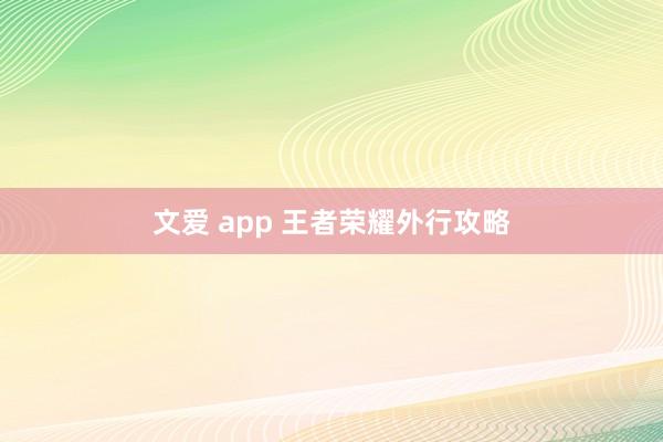 文爱 app 王者荣耀外行攻略