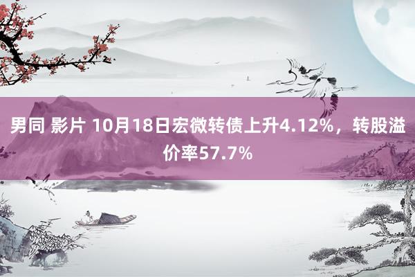 男同 影片 10月18日宏微转债上升4.12%，转股溢价率57.7%