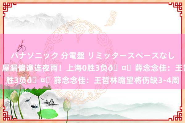 パナソニック 分電盤 リミッタースペースなし 露出・半埋込両用形 屋漏偏逢连夜雨！上海0胜3负🤕薛念念佳：王哲林瞻望将伤缺3-4周