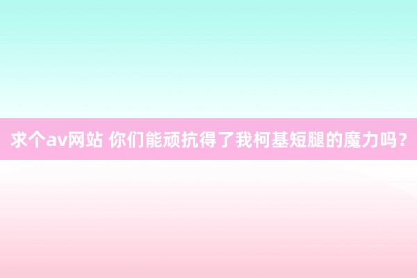 求个av网站 你们能顽抗得了我柯基短腿的魔力吗？