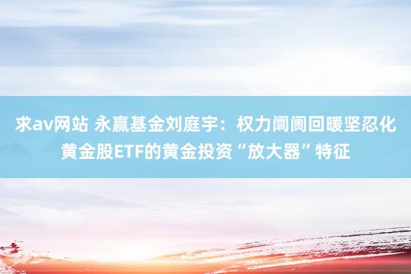 求av网站 永赢基金刘庭宇：权力阛阓回暖坚忍化黄金股ETF的黄金投资“放大器”特征