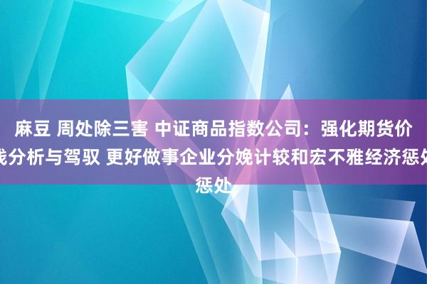 麻豆 周处除三害 中证商品指数公司：强化期货价钱分析与驾驭 更好做事企业分娩计较和宏不雅经济惩处