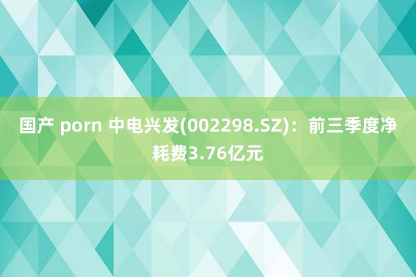 国产 porn 中电兴发(002298.SZ)：前三季度净耗费3.76亿元