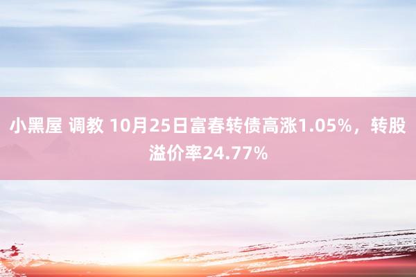 小黑屋 调教 10月25日富春转债高涨1.05%，转股溢价率24.77%