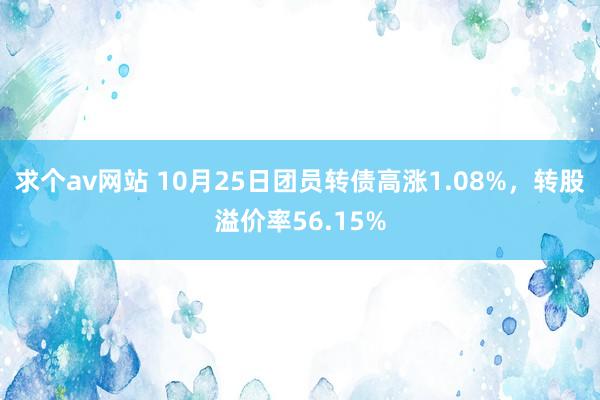 求个av网站 10月25日团员转债高涨1.08%，转股溢价率56.15%