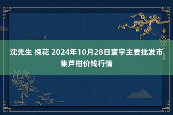 沈先生 探花 2024年10月28日寰宇主要批发市集芦柑价钱行情