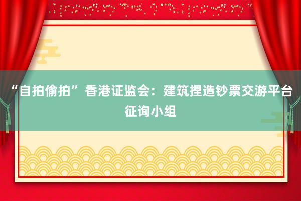 “自拍偷拍” 香港证监会：建筑捏造钞票交游平台征询小组