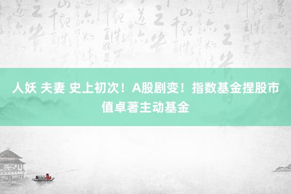 人妖 夫妻 史上初次！A股剧变！指数基金捏股市值卓著主动基金