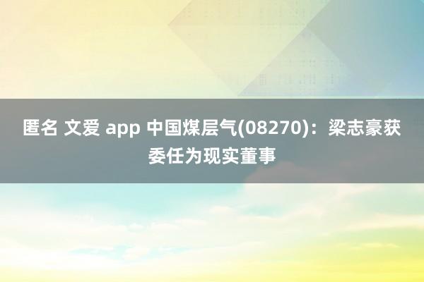 匿名 文爱 app 中国煤层气(08270)：梁志豪获委任为现实董事