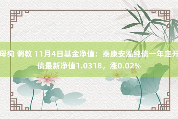 母狗 调教 11月4日基金净值：泰康安泓纯债一年定开债最新净值1.0318，涨0.02%