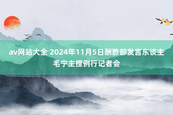 av网站大全 2024年11月5日酬酢部发言东谈主毛宁主捏例行记者会