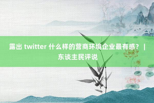 露出 twitter 什么样的营商环境企业最有感？ | 东谈主民评说