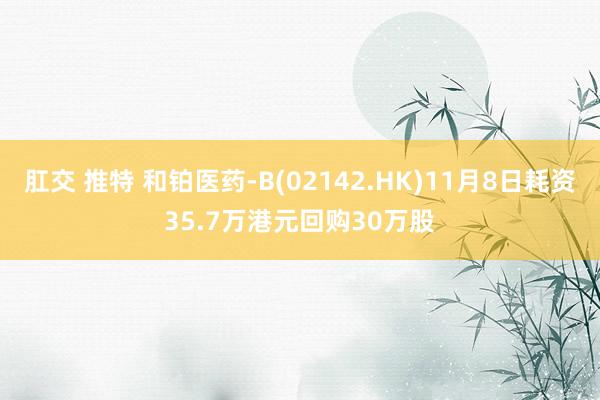 肛交 推特 和铂医药-B(02142.HK)11月8日耗资35.7万港元回购30万股