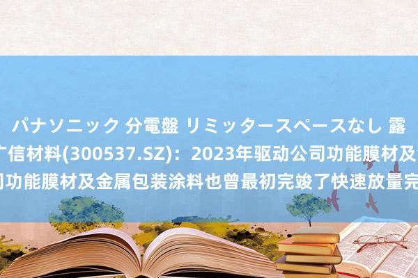 パナソニック 分電盤 リミッタースペースなし 露出・半埋込両用形 广信材料(300537.SZ)：2023年驱动公司功能膜材及金属包装涂料也曾最初完竣了快速放量完竣五千万阁下收入